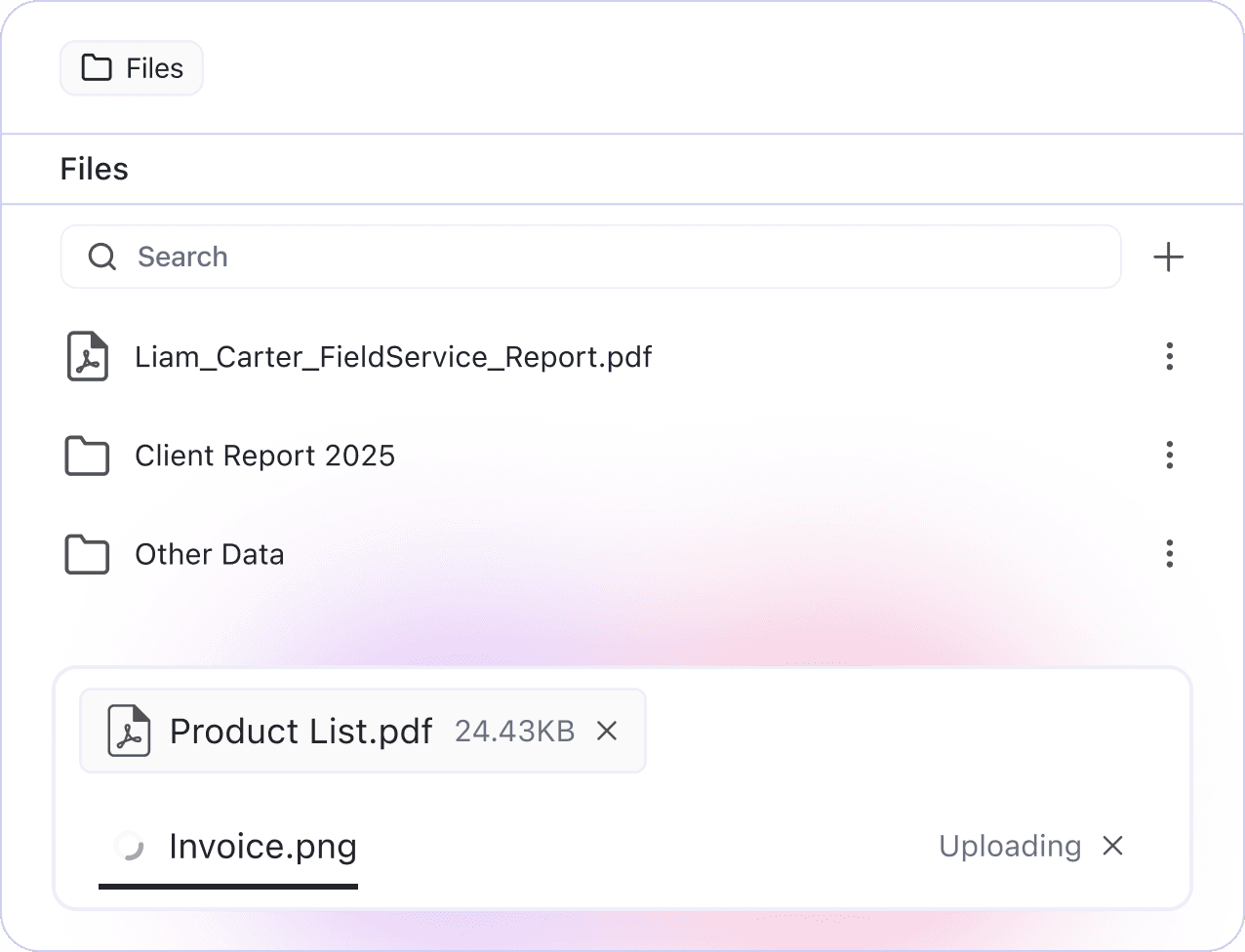 why field File Management