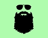 Fashion Sunglasses